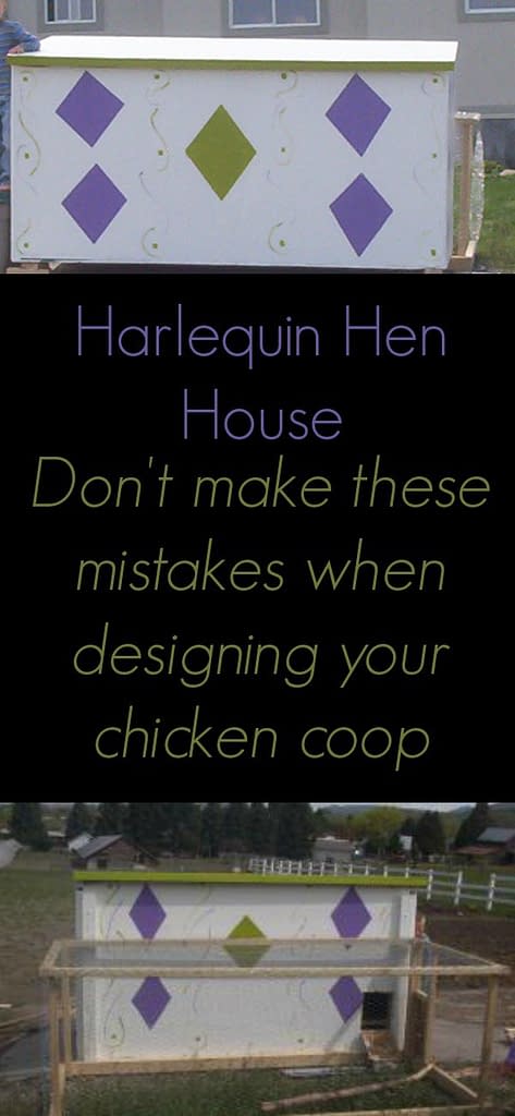 Do not make these mistakes when building your chicken coop